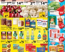 Times Supermarkets Weekly Ad
