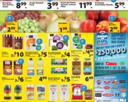 Times Supermarkets Weekly Ad