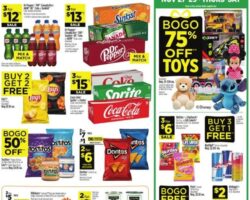 Dollar General Black Friday Ad 2025