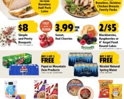 Festival Foods Weekly Ad