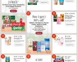 Walgreens Weekly Sale Ad