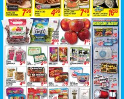 Don Quijote Sale Ad