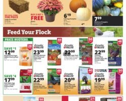 Rural King Weekly Ad