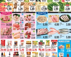 Lotte Plaza Weekly Ad